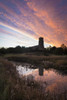 Looking over marshes at dawn to Blythburgh Church; Suffolk, England Poster Print by Ian Cumming (13 x 20)
