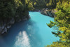 Hokitika Gorge, Kokatahi, West Coast, South Island, New Zealand Poster Print by Raimund Linke (19 x 12)