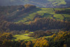 Fields and woods in Autumn near Stanage Edge, Peak District; Derbyshire, England, United Kingdom Poster Print by Ian Cumming (20 x 13)