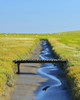 Tide Way with Bridge, Westerheversand, Summer, Westerhever,  Tating, Schleswig-Holstein, Germany Poster Print by Raimund Linke (12 x 15)