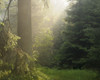 St Andreasberg, Harz National Park, Lower Saxony, Germany Poster Print by Raimund Linke (17 x 13)