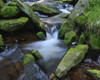 Stream, Oderteich, Sankt Andreasberg, Goslar, Harz, Lower Saxony, Germany Poster Print by Raimund Linke (17 x 13)