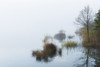 Lake Barmsee in Morning Mist, Werdenfelser Land, Upper Bavaria, Bavaria, Germany Poster Print by Michael Breuer (20 x 13)