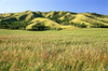 Field Qu'Appelle Valley Saskatchewan, Canada Poster Print by J. A. Kraulis (17 x 11)