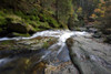 Detail of a stream in autumn, Bavarian Forest National Park, Bavaria, Germany Poster Print by David & Micha Sheldon (20 x 13)
