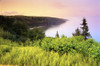 Fundy Trail Bay of Fundy New Brunswick, Canada Poster Print by J. A. Kraulis (17 x 11)
