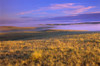 Grassland, Grasslands National Park, Saskatchewan, Canada Poster Print by J. A. Kraulis (17 x 11)