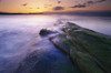 Gabriola Island, British Columbia, Canada Poster Print by J. A. Kraulis (17 x 11)