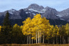 Mt. Rundle and Aspens in Autumn Banff National Park, Alberta Canada Poster Print by J. A. Kraulis (17 x 11)