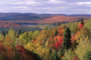Trees and Mountains in Autumn La Mauricie National Park Quebec, Canada Poster Print by J. A. Kraulis (17 x 11)