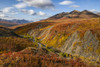 The autumn colours ignite the landscape in colour along the Dempster Highway, Yukon. An amazing, beautiful place any time of year but it takes on a different feel in autumn; Yukon, Canada Poster Print by Robert Postma (19 x 12)