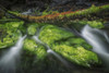 Brightly Coloured Algae Lines The Rocks As A Stream Comes Out Of The Forest In The Ocean; Haida Gwaii, British Columbia, Canada Poster Print by Robert Postma (18 x 12)