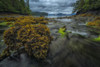 Water Flows Toward The Ocean From A Forest Stream At Low Tide; Haida Gwaii, British Columbia, Canada Poster Print by Robert Postma (19 x 12)