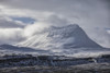 Snow covered peak behind the town of Djupavik; Djupavik, West Fjords, Iceland Poster Print by Robert Postma (19 x 12)