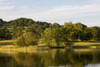 Tranquil Water Of A Lake Reflected The Green Trees And Grass Fields; Lake District, Cumbria, England Poster Print by John Short (19 x 12)