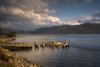 Broken Dock, Loch Sunart, Scotland Poster Print by John Short (17 x 11)