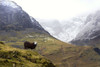 Herdwick Sheep, Lake District, Cumbria, England, Europe Poster Print by John Short (17 x 11)