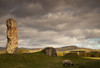 Ruins Of Cessford Castle With Sheep Grazing In The Field; Scottish Borders, Scotland Poster Print by John Short (19 x 13)