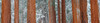 Giant Sequoia Trees, Sequoia National Park, California Poster Print by Robert Postma (30 x 7)