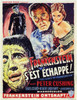 The Curse of Frankenstein Movie Poster Print (11 x 17) - Item # MOVCD6991