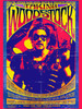 Taking Woodstock Movie Poster Print (11 x 17) - Item # MOVAB55660