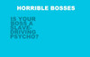 Horrible Bosses Movie Poster Print (11 x 17) - Item # MOVGB91104