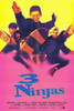 3 Ninjas Movie Poster Print (11 x 17) - Item # MOVEF1148