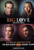 Big Love Movie Poster (11 x 17) - Item # MOV436501