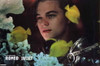 William Shakespeare's Romeo and Juliet Movie Poster Print (11 x 17) - Item # MOVIF7509