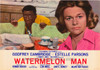 Watermelon Man Movie Poster Print (11 x 17) - Item # MOVGI6036