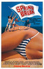Spring Break Movie Poster Print (27 x 40) - Item # MOVIB25553