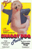 The Shaggy Dog Movie Poster Print (27 x 40) - Item # MOVEI4249