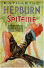 Spitfire Movie Poster Print (11 x 17) - Item # MOVGD7963