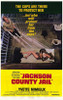 Jackson County Jail Movie Poster Print (11 x 17) - Item # MOVIE2039