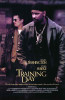 Training Day Movie Poster Print (11 x 17) - Item # MOVGD3999