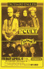 The Cult Movie Poster Print (11 x 17) - Item # MOVAI5482