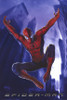 Spider-Man Movie Poster Print (11 x 17) - Item # MOVGD1794