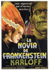The Bride of Frankenstein Movie Poster Print (11 x 17) - Item # MOVIB74583