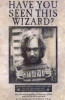 Harry Potter and the Prisoner of Azkaban Movie Poster Print (11 x 17) - Item # MOVAD0975