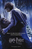 Harry Potter and the Goblet of Fire Movie Poster Print (11 x 17) - Item # MOVCH5050