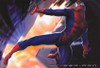 Spider-Man Movie Poster Print (11 x 17) - Item # MOVIF3107