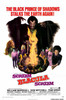 Scream Blacula Scream Movie Poster Print (11 x 17) - Item # MOVCE6016