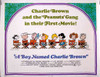 A Boy Named Charlie Brown Movie Poster Print (11 x 17) - Item # MOVCB05730