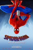 Spider-Man: Into the Spider-Verse Movie Poster Print (27 x 40) - Item # MOVCB13755
