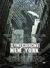 Synecdoche, New York Movie Poster Print (27 x 40) - Item # MOVIJ7150