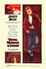 Rebel without a Cause Movie Poster Print (11 x 17) - Item # MOVED9127