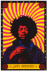 Jimi Hendrix Movie Poster Print (11 x 17) - Item # MOVII9533