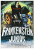 Young Frankenstein Movie Poster Print (27 x 40) - Item # MOVGJ1307