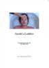 Jacob's Ladder Movie Poster Print (11 x 17) - Item # MOVAJ5680
