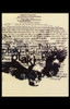 The Birds Movie Poster Print (11 x 17) - Item # MOVEE0053